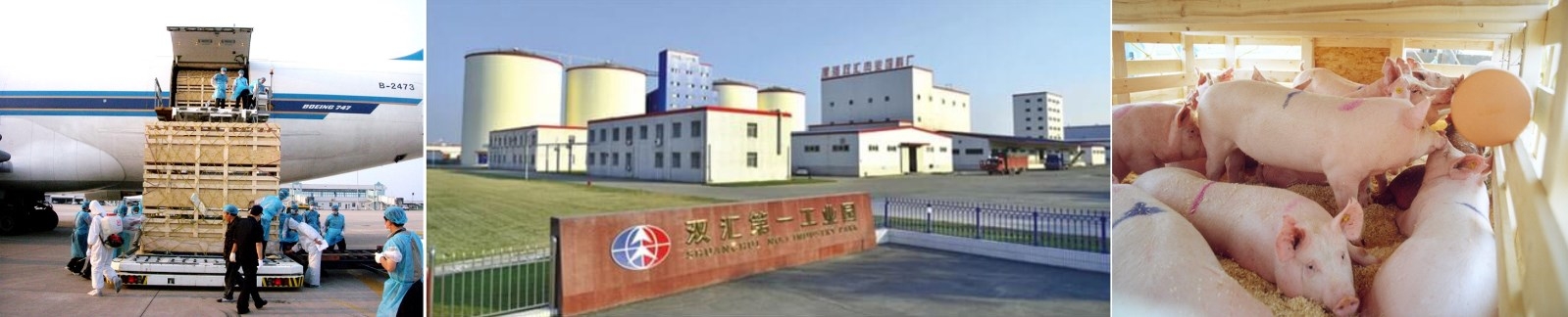 1608599910958827.jpg 1608599910958827.jpg